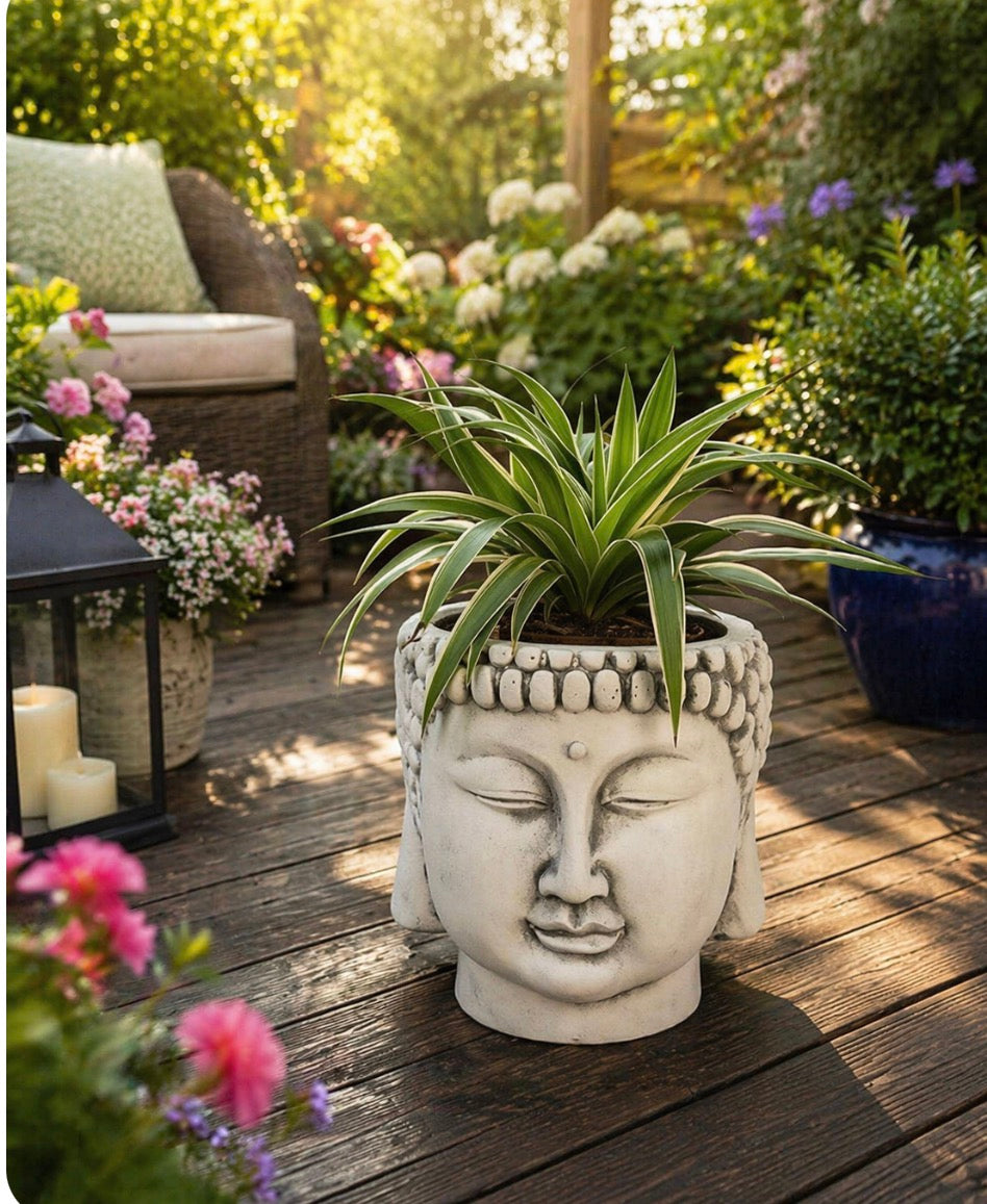 Terracotta buddha planter